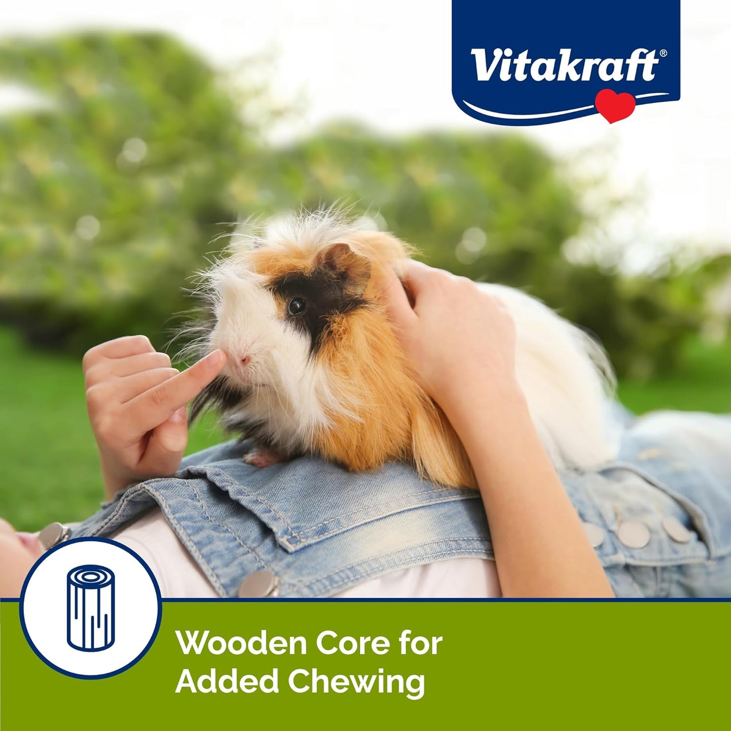 Vitakraft Guinea Pig Fruit & Honey Treat Sticks 2 Pack, 3.5 Ounce, Enriched Snack with Wooden Chew Core for Dental Health