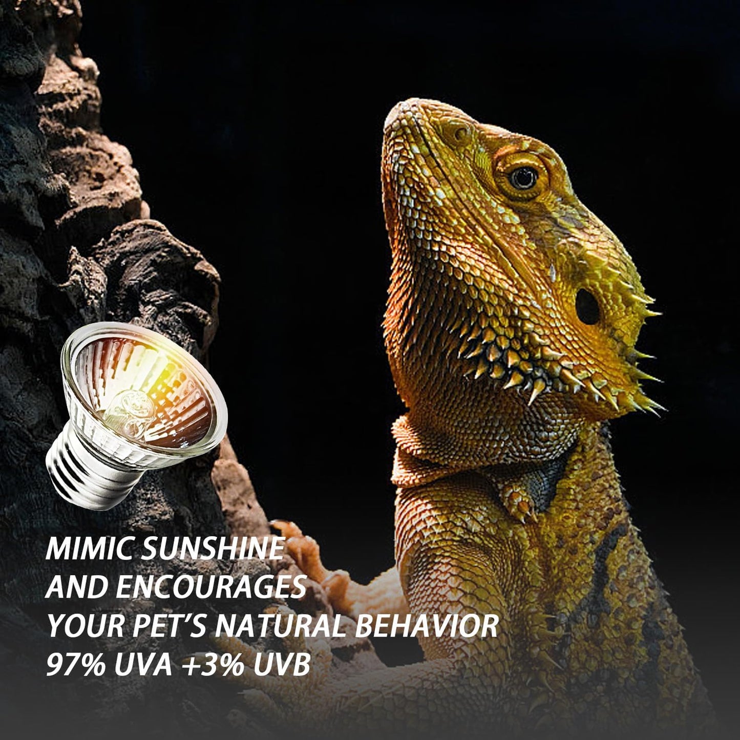 2-Pack 25W UVA Bulbs, Light Turtle Heat Lamp for Reptiles and Amphibian Tanks, Terrariums and Cages, Fit E26 Heat Reptile Lamp,Works with Various Lamp Fixtures,for Lizards, Snakes, Turtles