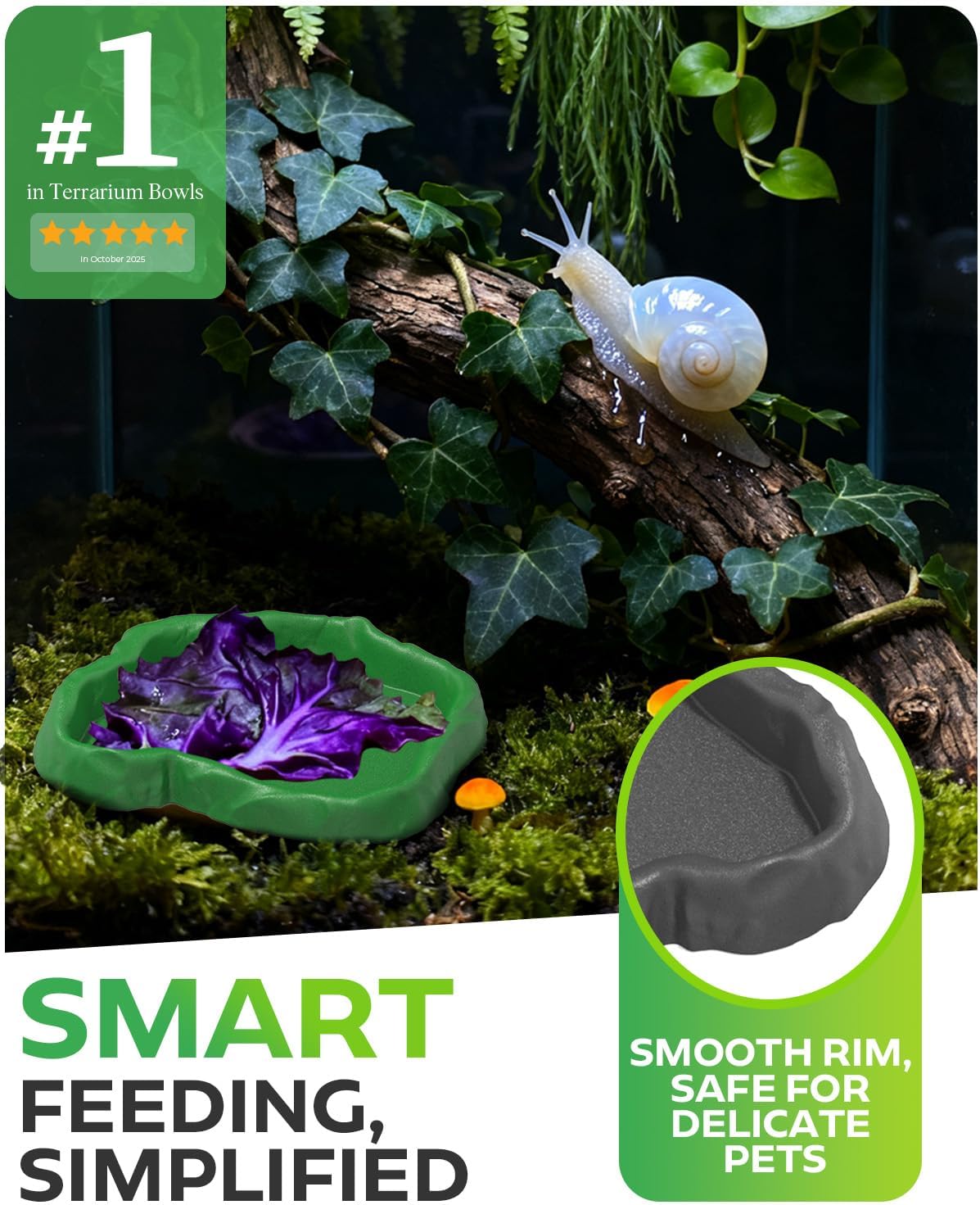 2Pcs Snail Food and Water Bowl, Reptile Water Dish and Food Bowl, Natural Design Terrarium Feeding Dish for Garden Snails, Hermit Crab, Lizard, Frog, Gecko (Black)