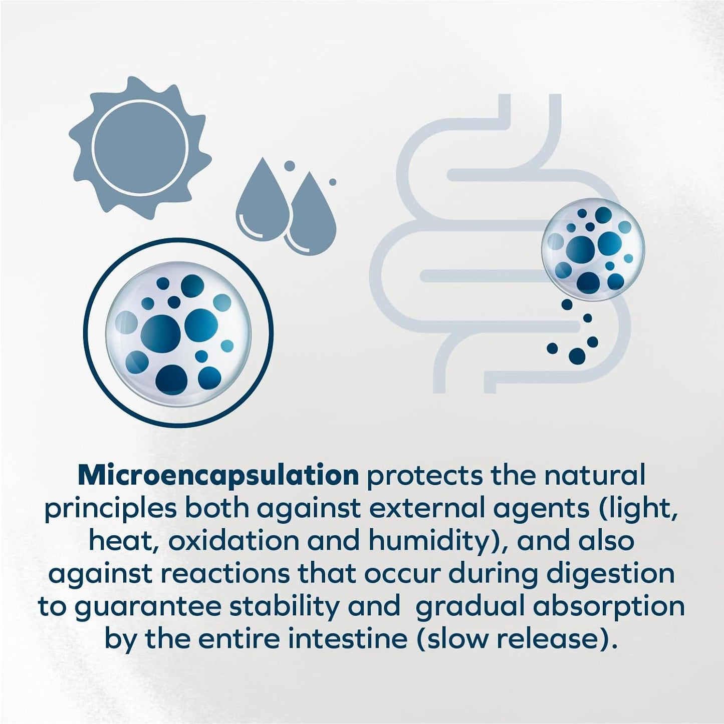 Forza10 - Cat Food, Vet-Formulated Renal Wet, Non GMO, Kidney Care Food with Lamb Flavor, Crafted for Adults, Made in Italy (3.5 oz, 12 Pack)