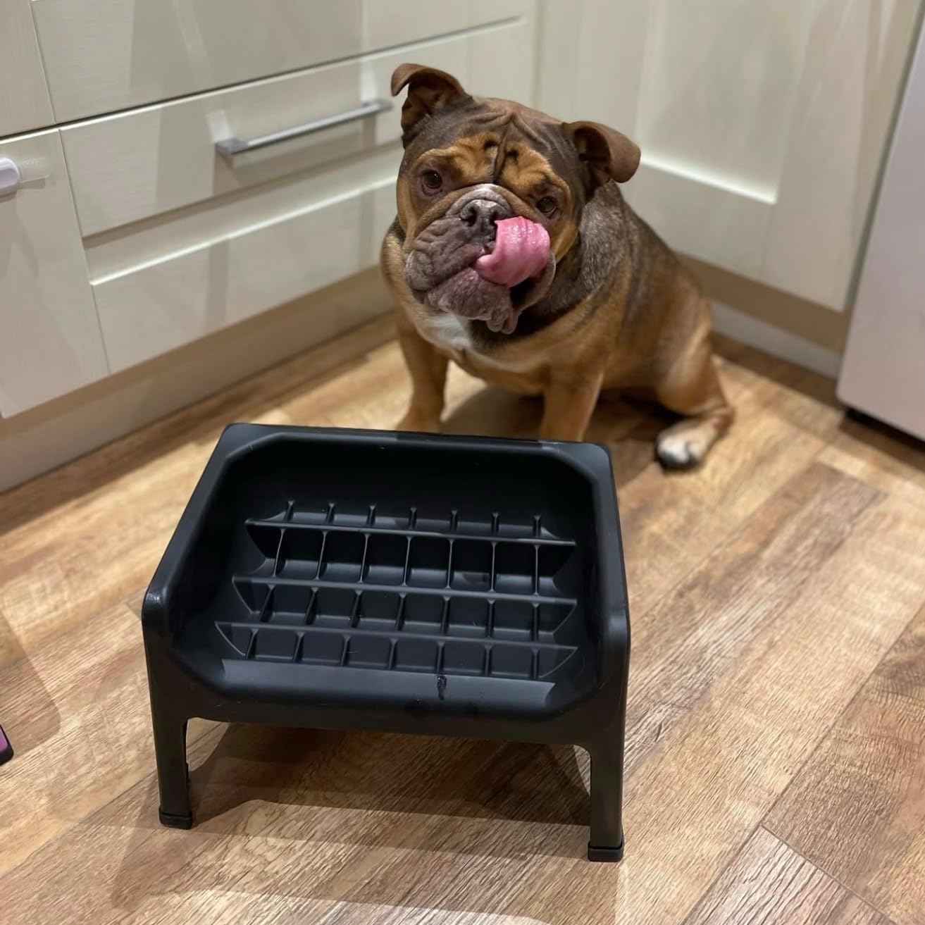 Fluff Trough XL Binge Blocker – Elevated Slow Feeder Dog Bowl with Silicone Slow Feeder Insert, Raised Dog Bowl & Food Container for Medium Large Dogs, Vet Recommended Elevated Dogs Dish (Black)