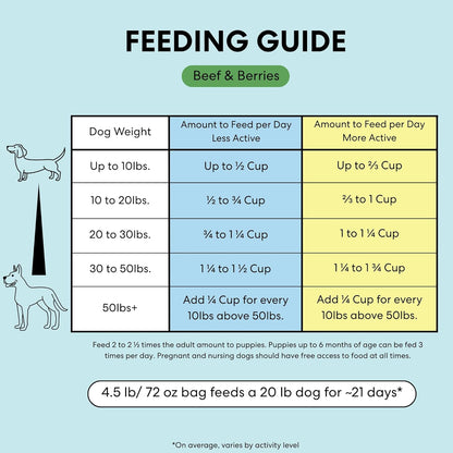 The Pets Table Air Dried Grain Free Dog Food for Dogs Large, Medium and Small | Puppy Dog Food, Adult Dog Food, Senior Dog Food | Beef & Berries 4.5 lbs / 72 oz Bag