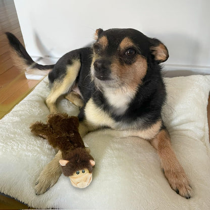 Best Pet Supplies 2-in-1 Stuffless Squeaky Dog Toys with Soft, Durable Fabric for Small, Medium, and Large Pets, No Stuffing for Indoor Play, Holds a Plastic Bottle - Monkey, Squirrel, Large