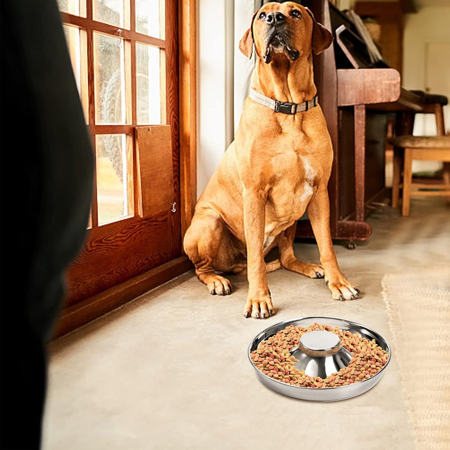 SOUJOY 2 Pack Stainless Steel Puppy Bowls, Pet Slow Feeder Bowls, Non-Skid Dog Food and Water Bowl, Feeding Weaning for Small Medium Large Dogs, Cat, Pets, Multiple Puppies