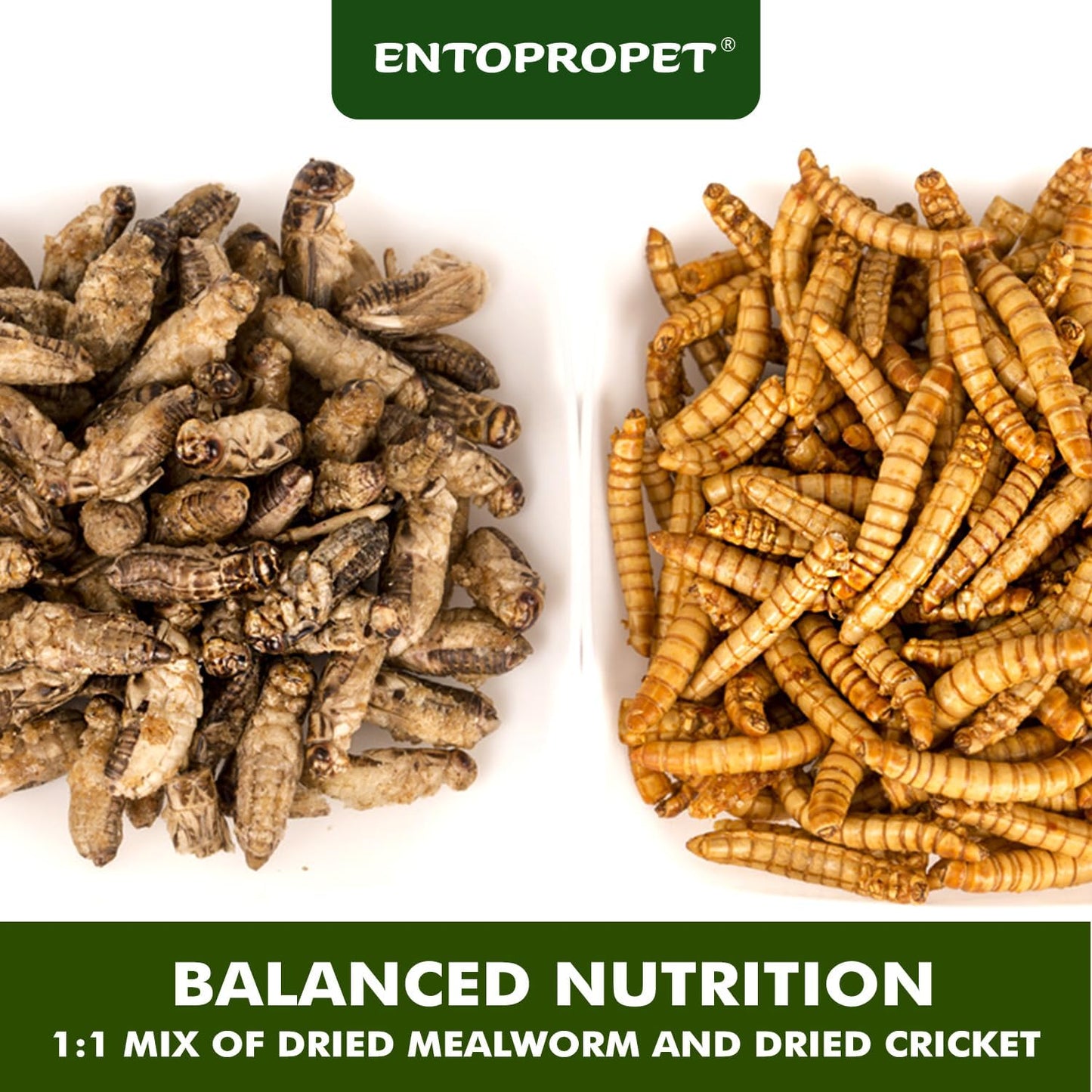 Dried Mealworms and Dried Crickets - Higher in Calcium and Richer in Protein-A Premium Medley Treat Food for Bearded Dragons,Turtle, Birds & Tropical Fish, 3oz