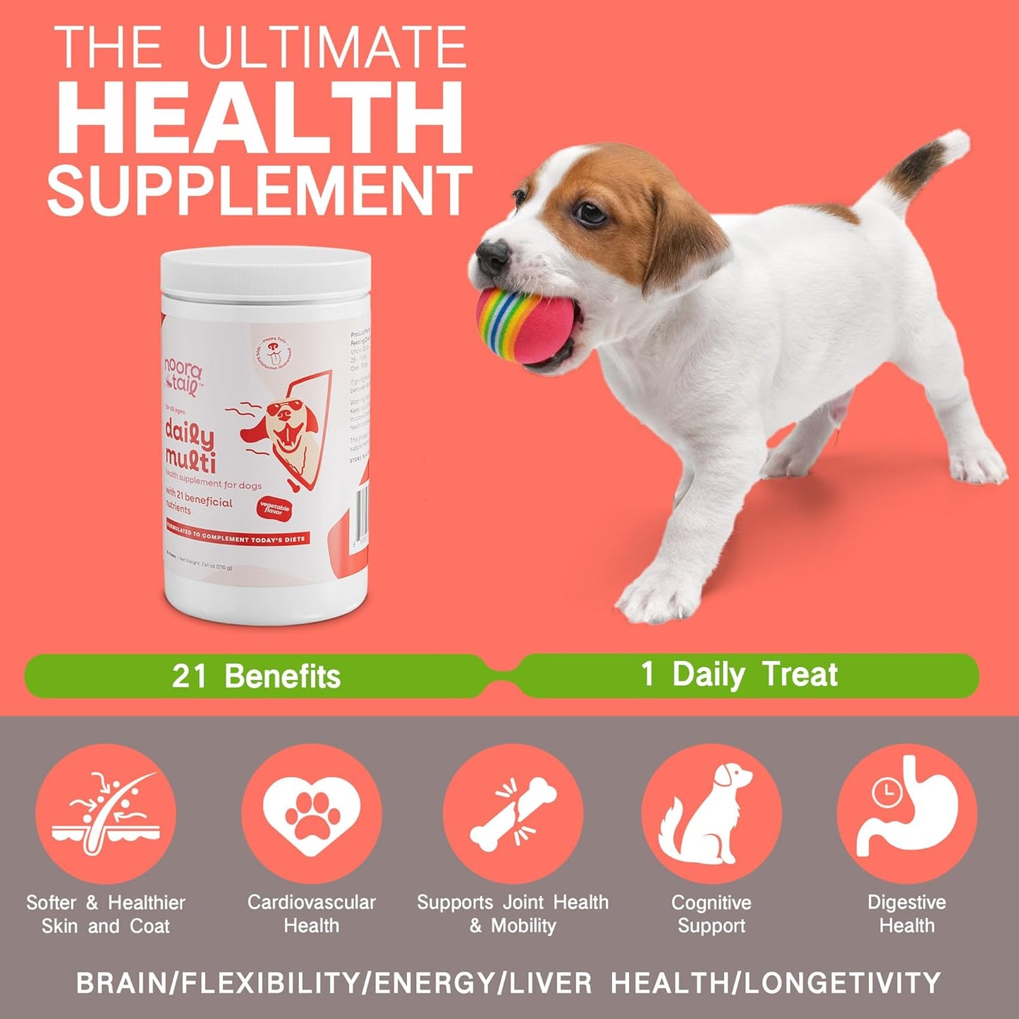 21-in-1 Dog Vitamins and Supplements with Glucosamine & Chondroitin, Natural Daily Multivitamin Chewable for Dogs, Puppy Vitamins Health-Skin-Immunity-Gut Digestion-Joint-Heart, 60 pcs