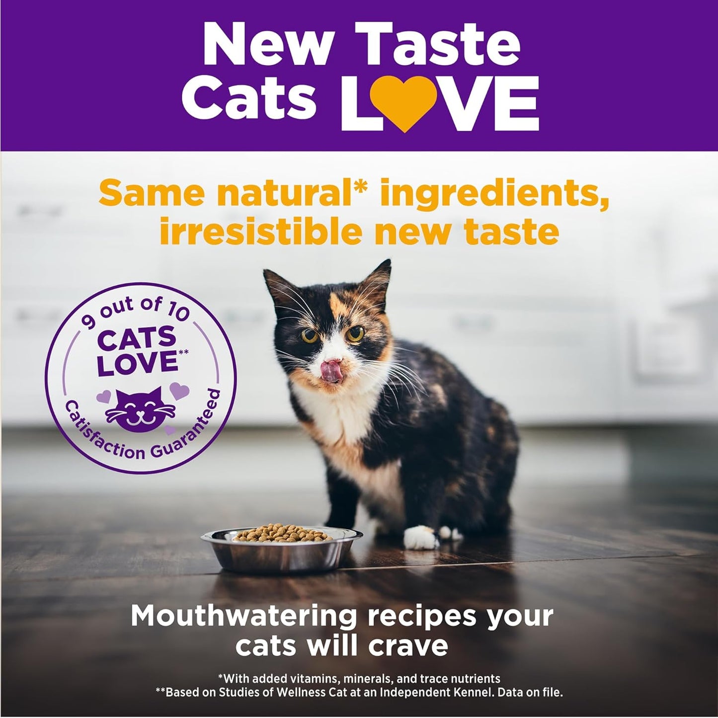 Wellness Complete Health Adult Dry Cat Food for Indoor Cats, Wholesome Grains, Natural, Chicken (5 Pound Bag)