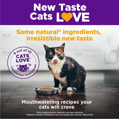 Wellness Complete Health Adult Dry Cat Food for Indoor Cats, Wholesome Grains, Natural, Chicken (5 Pound Bag)