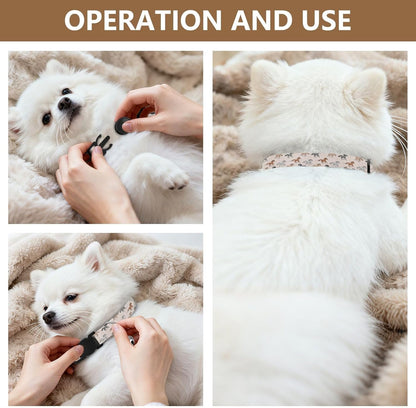 Horses Animals Beige Pattern Dog Collar with Buckle Adjustable 2 Pack Pet Puppy Collar for Small Dogs Cats