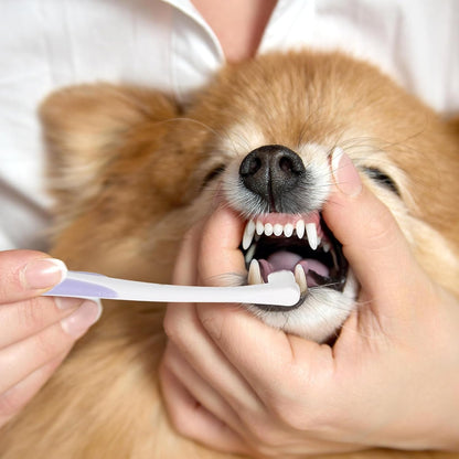 Small Dog Cat Toothbrush Pets Toothbrush Soft Bristle Cat Dental Brush Micro Head Puppy Tooth Brush Deep Clean Kit Portable Cats Dental Care for Puppy Kitten Daily Brushing