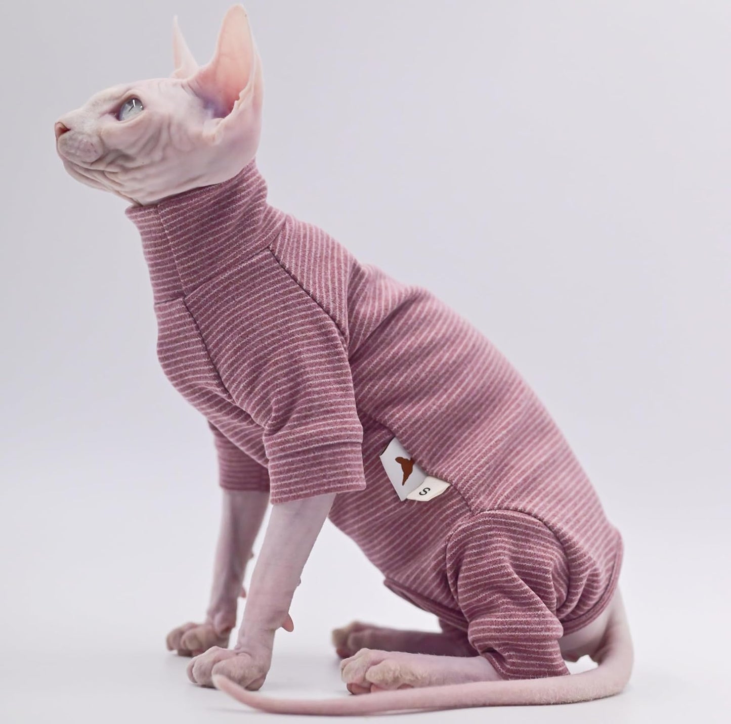 Hairless Cat Clothes Four-Legged Velvet Warm Soft Autumn and Winter Cat Apparel for Sphynx, Devon Rex, Cornish (Small)