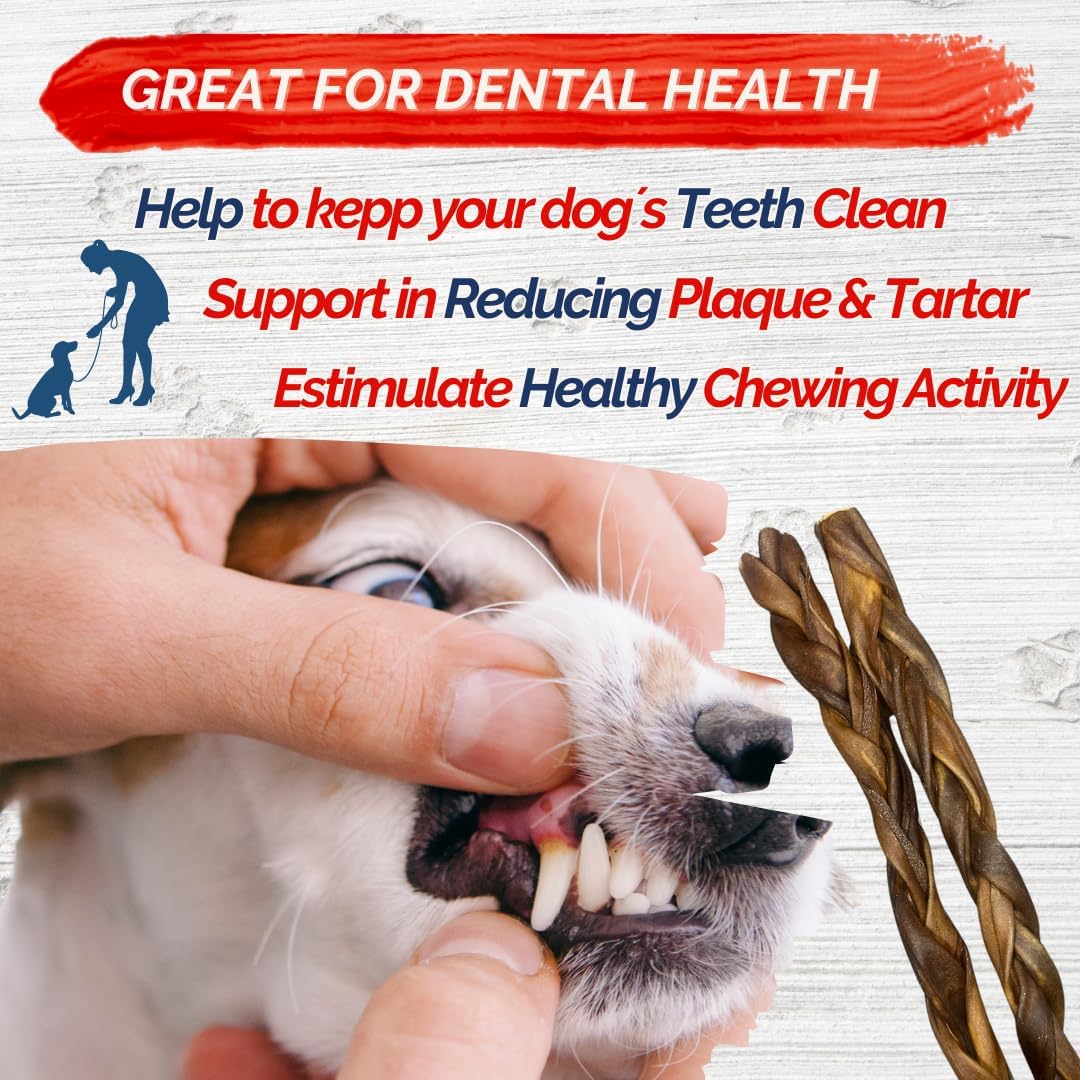 Braided Collagen Sticks for Dogs 10 Pack - 6 Inches - Long-Lasting Alternative to Bully Sticks, Rawhide-Free Collagen Chews w/Chondroitin & Glucosamine for Joint Support & Dental Health