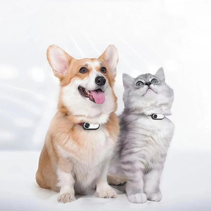 1080P Pet Camera Collar, HD Wearable Action Cam for Cats & Small Dogs - Wireless Mini Body Camera with Wide Angle, Adjustable Mount for Collar, Helmet, Bike (No WiFi Needed)