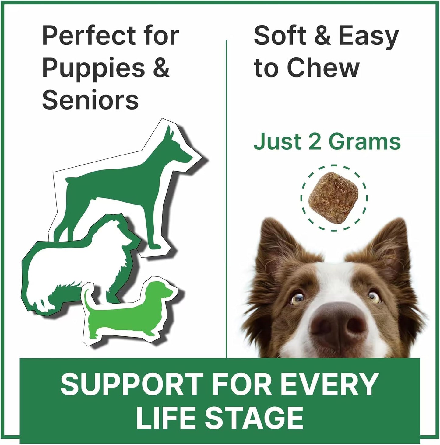 Vitamins for Dogs - 4 in 1 Complex with Omega, Glucosamine, Probiotics and Vitamins - 120ct - BBQ Pork