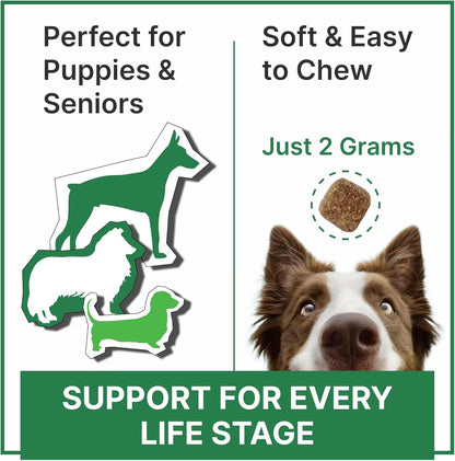 Vitamins for Dogs - 4 in 1 Complex with Omega, Glucosamine, Probiotics and Vitamins - 120ct - BBQ Pork