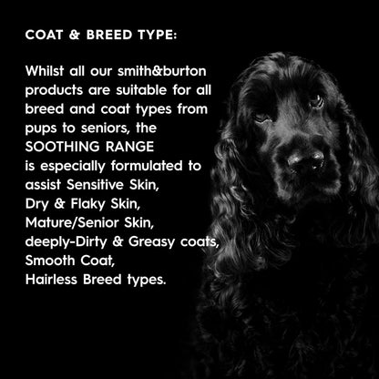 smith&burton Soothing Duo Set for Dogs & Cats, 16.9 oz | Gentle Soothing Shampoo & Conditioner with Chamomile, Oat,Manuka Honey & More, Scent No.3
