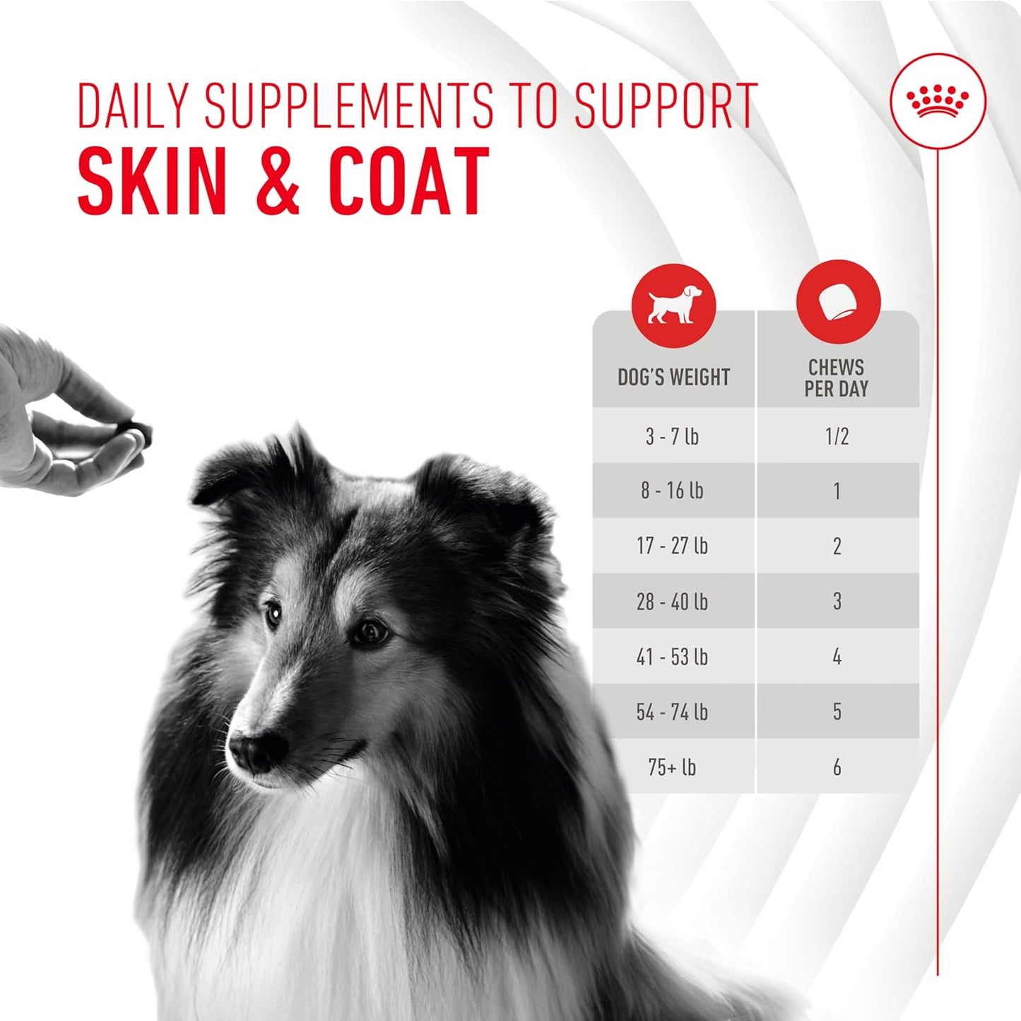 Royal Canin Skin & Coat Dog Supplement Soft Chews for Adult Dogs, 60 Count (Pack of 4)
