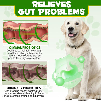 Probiotics Powder for Dogs - Pre & Probiotic Digestive Supplement with Digestive Enzymes & Prebiotics for Dog Support Gut Health, Seasonal Allergies & Immune System Dog Supplies Powder - 120 Scoops