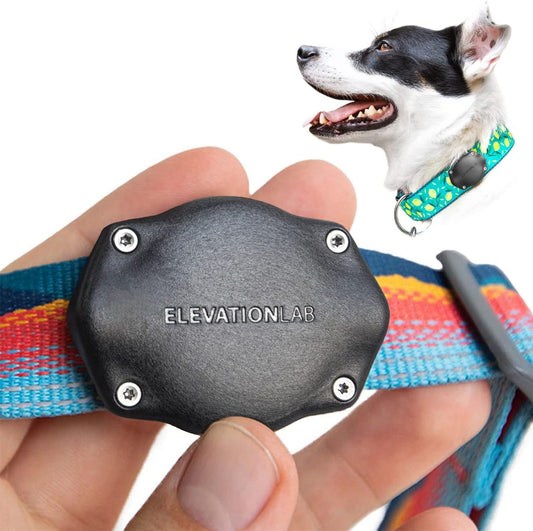 Elevation Lab TagVault AirTag Dog Collar Mount (Single) - IP69 Waterproof, Doesn't Dangle, Fits All Width Collars, Glow in The Dark