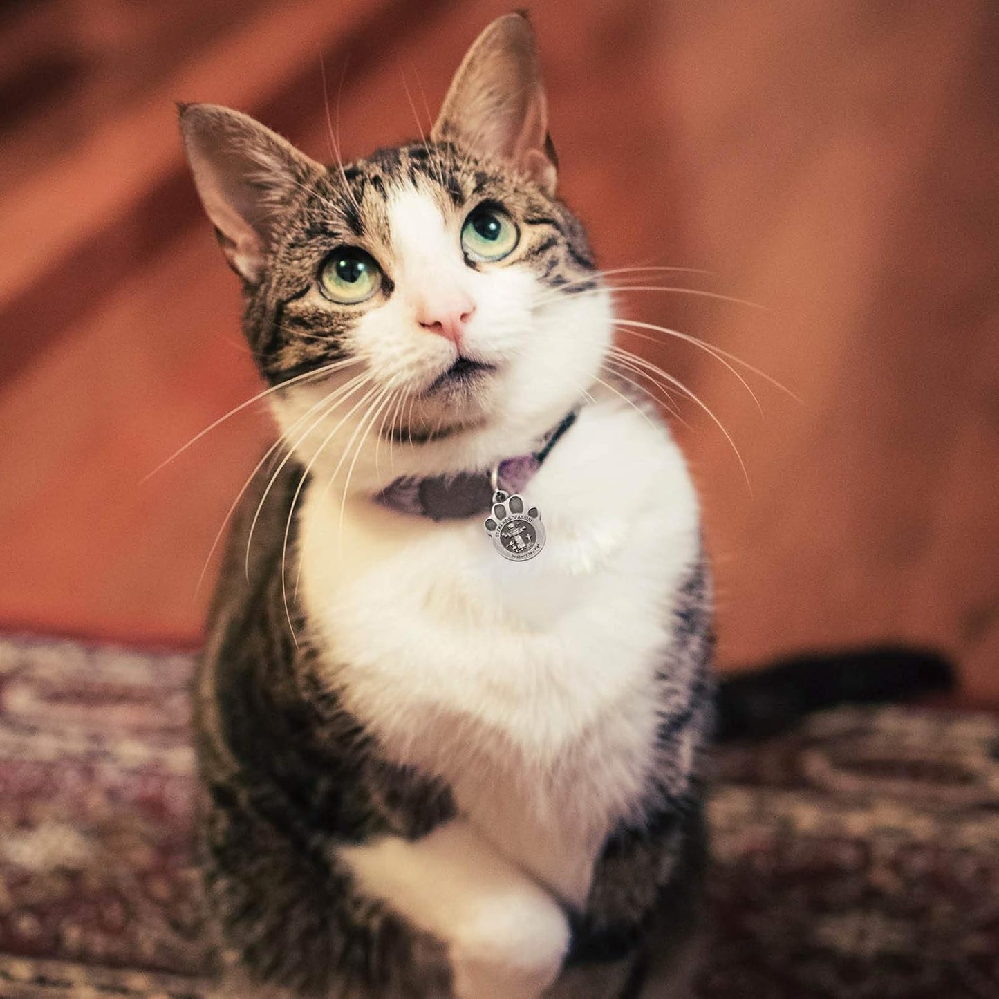 Pet Tags Engraved 2 Packs St Francis of Assisi dogs Cats Medal Pendant Collar Charm Protect My Pet