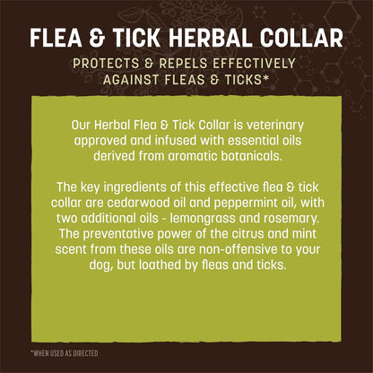 Earth Animal Apothecary Natural Flea & Tick - Herbal Collar for Small Dogs & Puppies - 1 Collar