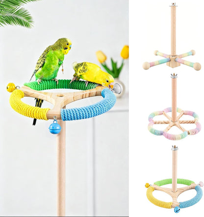 Bird Perch Toy, Interactive Spinning Parakeet Parrot Toys with Chew Toy,360° Silent Free-Spin,for Parrots, Parakeets, Cockatiels, Small to Medium Birds, with Poplar Swing (Round)