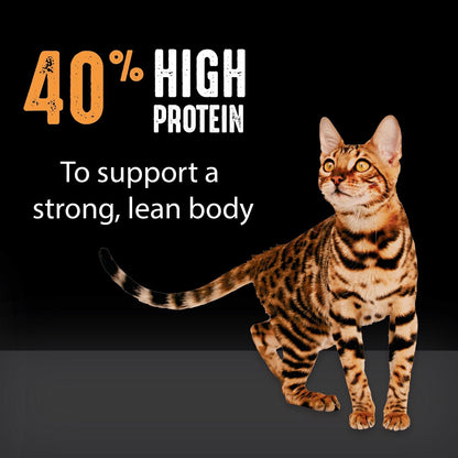CRAVE Grain Free Adult High Protein Natural Dry Cat Food with Protein from Chicken, 10 lb. Bag