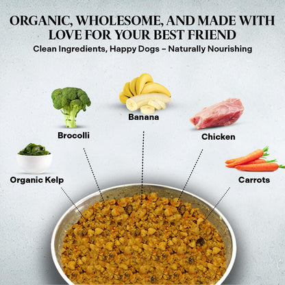 Healthy Dogma - PetMix Dehydrated Dog Food for Allergies, Freeze Dried, Raw, Homemade Dog Food (Chicken Dinner, 2 lbs)