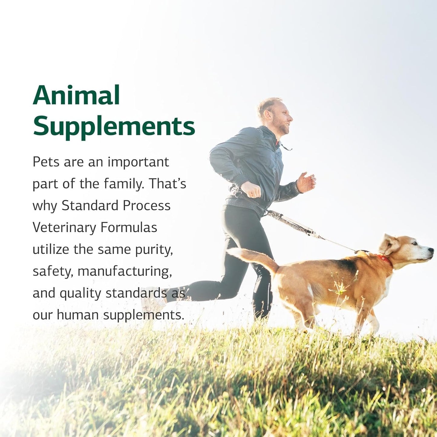 Standard Process Inc. VF Omega-3 for Pets - Dietary Supplement with Omega-3 Fatty Acids - Support Bone Growth, Immune Health, Heart Health - Fish Oil Supplement for Pets - 90 Softgels