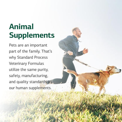 Standard Process Inc. VF Omega-3 for Pets - Dietary Supplement with Omega-3 Fatty Acids - Support Bone Growth, Immune Health, Heart Health - Fish Oil Supplement for Pets - 90 Softgels