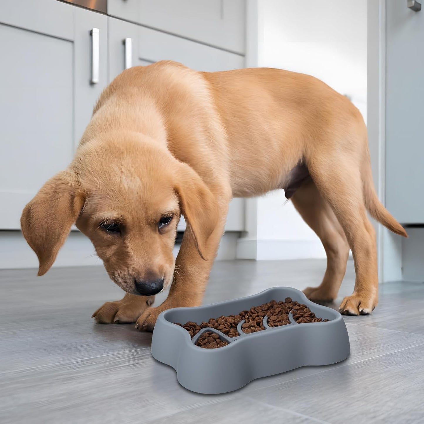 ORIA Slow Feeder Dog Bowls, Silicone Dog Slow Feeder, Anti-Choking Puzzle Dog Food Bowls, Interactive Dog Feeding Bowls with Non Slip Base, Machine Washable, for Small Medium Large Breed