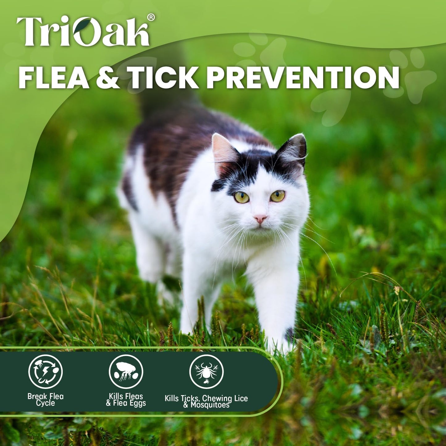 Flea and Tick Prevention for Cats: Flea & Tick Topical for Cats Over 1.5lbs, 6 Dose Flea and Tick Control/Prevention for 6 Months (6 Pack)