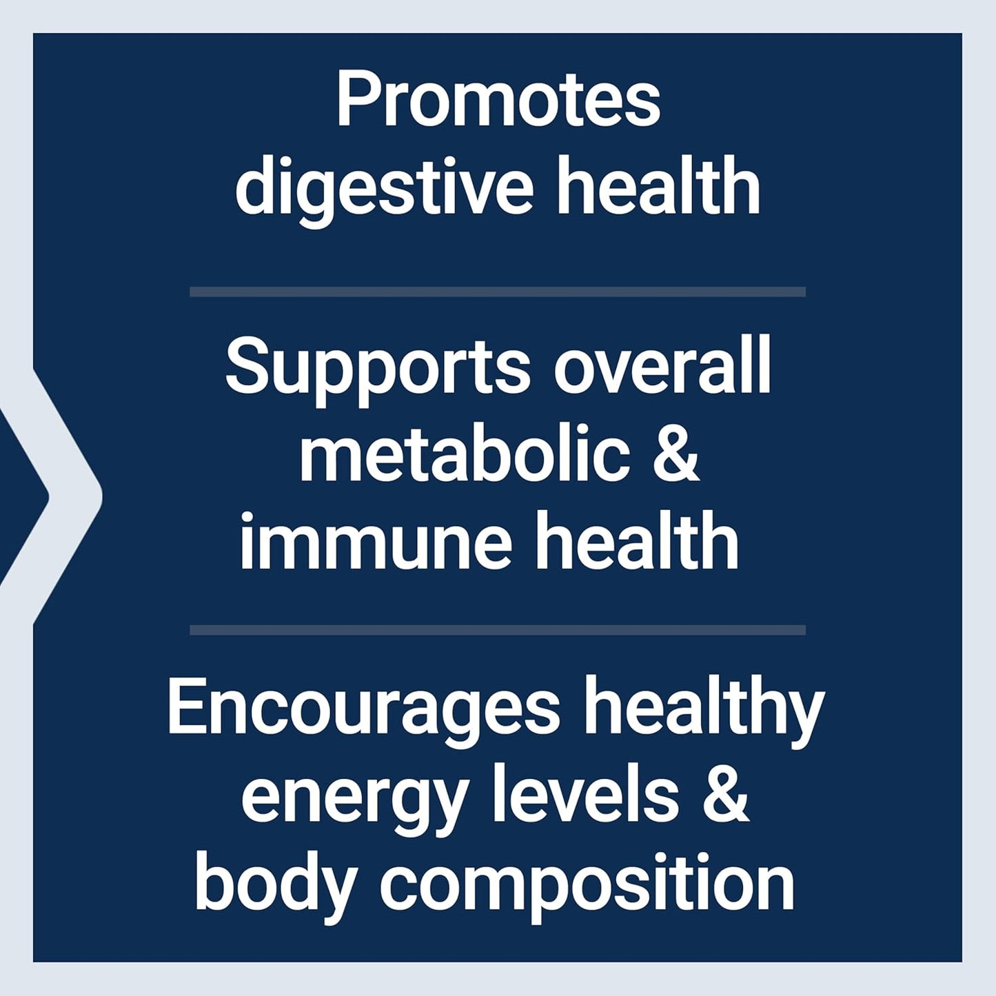 Life Extension Dog Mix, Dog Vitamins and Supplements, probiotics, L-carnitine, B12, folic Acid, Vitamin C, Vitamin E, Rosemary, Nutrient Absorption, Gluten-Free, Non-GMO, 60 Servings