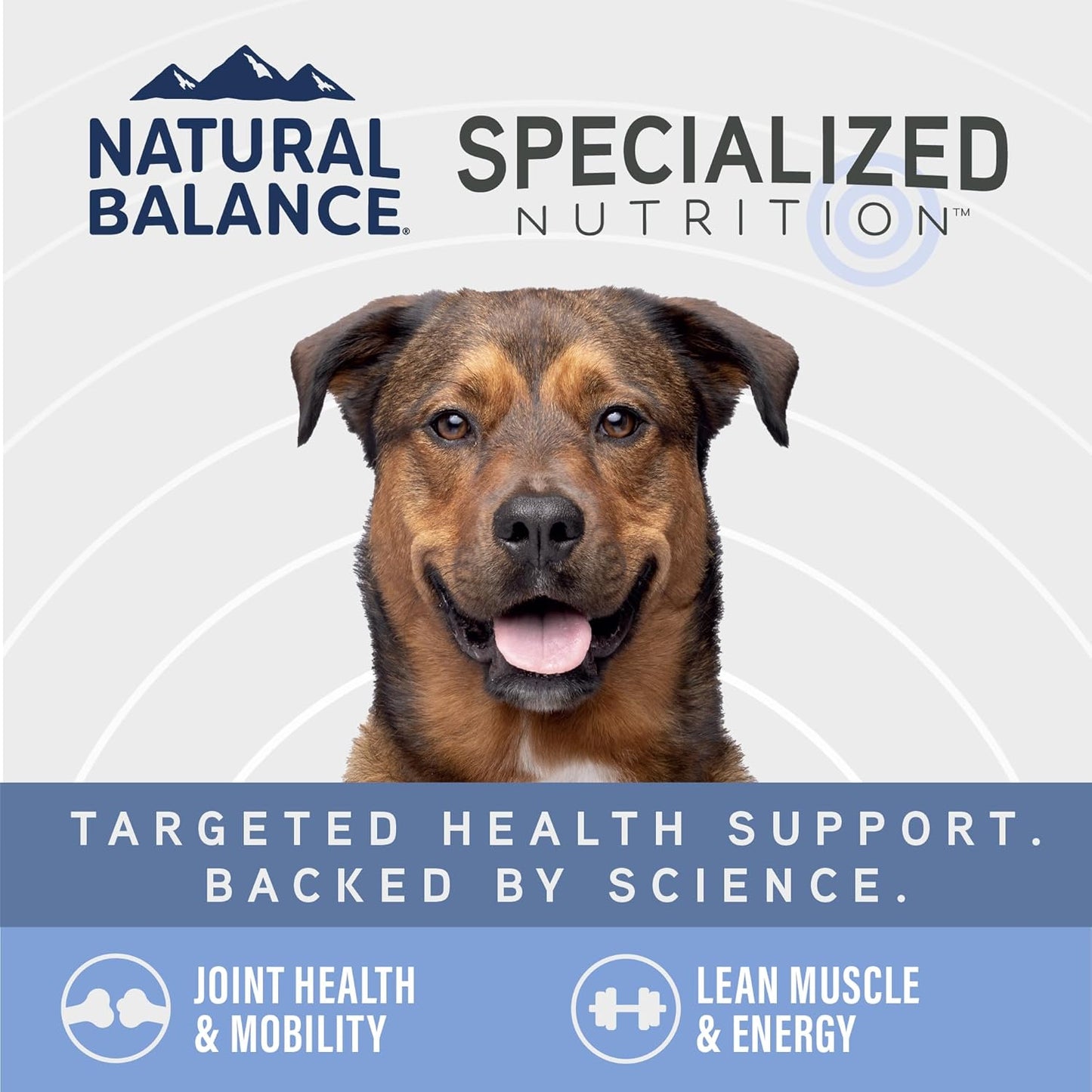 Natural Balance Specialized Nutrition Wet Dog Food Stew with Chicken and Brown Rice, Joint Health & Muscle Health Dog Food, Natural Ingredients with Added Vitamins & Minerals - 12.7 oz. (Case of 12)