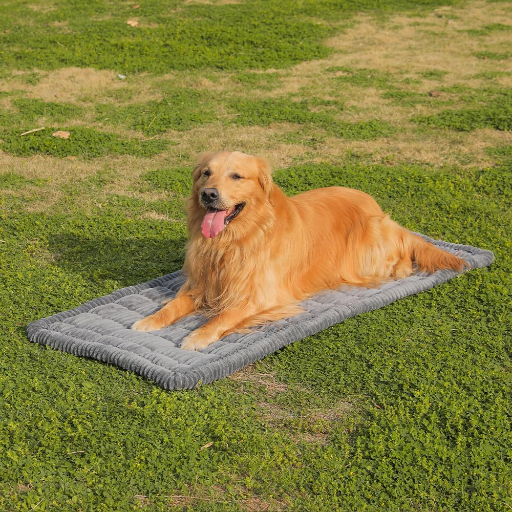 Dog Car Seat Cover for Back Seat, Dog Bed for Car, Fit for Backseat Extenders, Car Seat Protector, Nonslip Soft Durable for Cars Trucks and SUVs (Gray, 24.8" x 54")