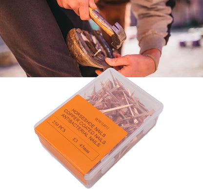 250Pcs Horseshoe Nails Copper Plated, Equestrian Riding Equipment, Rustproof Horseshoe Nails for Horse Hoof Health, Durable Copper Plated Nails with Storage Box, Professional Eques (45mm E3)