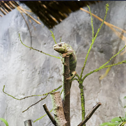 Fake Plant Reptile Vine Terrarium Accessory Sturdy Decorative Faux Rattan Climbing Habitat Decor for Reptiles and Amphibians