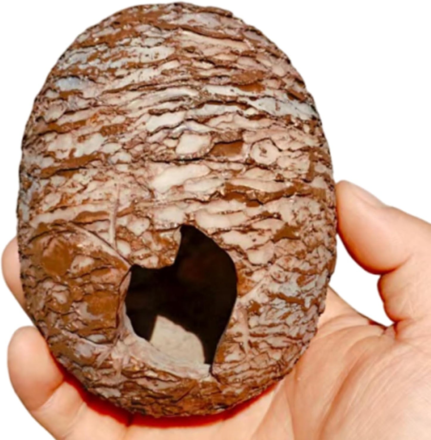 Low Maintenance Reptiles Habitat Upgrade Dinosaur Hide Cave with Textured Exterior Terrarium Stress Relief Decor Hot Swappable Terrariums Addons