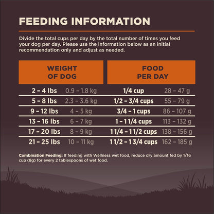 Wellness CORE Dry Dog Food, Small Breed, Grain-Free, High Protein, Natural, Original Turkey & Chicken Recipe, (12-Pound Bag)