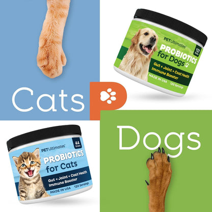 Pet Ultimates Probiotics for Dogs – 22-Species Dog Probiotics for Digestive Support & Antibiotics Recovery – Skin and Coat Supplement, Enhances Vitality – Dog Health Supplies (1 Pack)