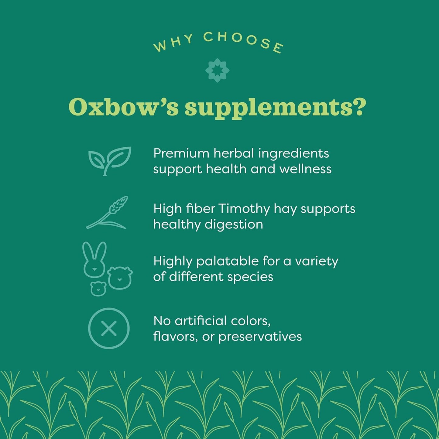 Oxbow Natural Science Vitamin C Supplement, Vitamin C & High-Fiber Timothy Hay, Guinea Pig Items, Made in the USA, Small Pet Supplies, Recommended by Veterinarians, 4.2 oz