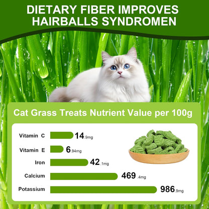 80g Cat Grass Treats for Indoor Cats, Freezed Drying Cat Grass Teething Stick for Hairball Remove Treatment Teeth Cleaning and Dental Care, Edible Kitty Chew Toy Snack