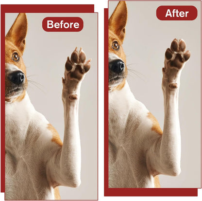 42 Pcs Pet Nail Grinder Replacement Kit with Grit Sanding Bands, Pet Smoother Claw Care Black Grinding Drums Pets Claw Grooming Supplies for Dog Claws Care (1/2 Inch 80/120 Grit)