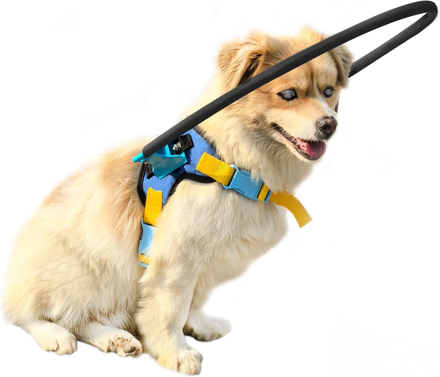 Blind Dog Halo Harness, Protective Halo Dog Collar for Blind Dogs, Confidence Building Harness Guiding Device