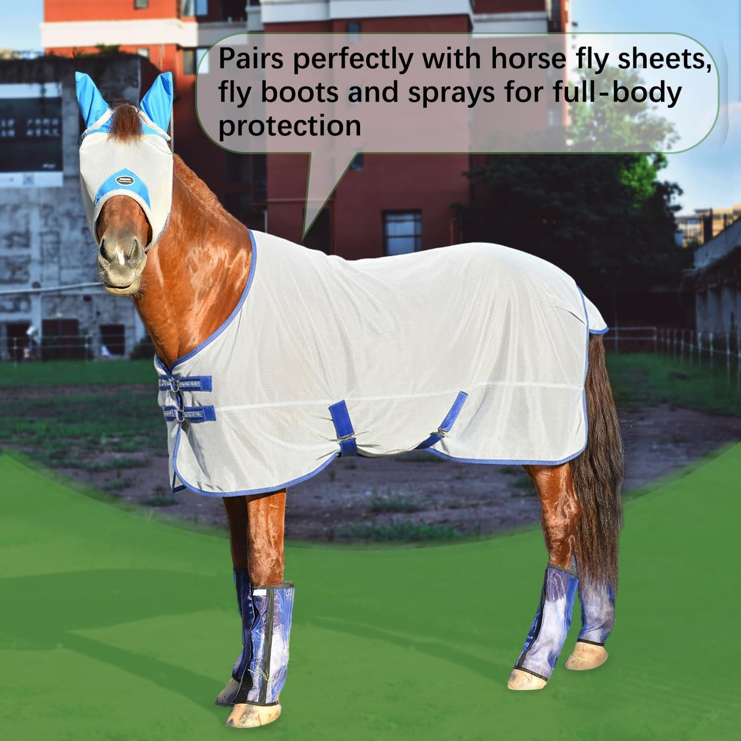 Horse Fly Mask, Adjustable Fly Masks for Horses with Ears, Breathable and 70% UV Protection, Comfort Mesh Without Nose Cover, Horses Accessories (Grey, Blue, Small)