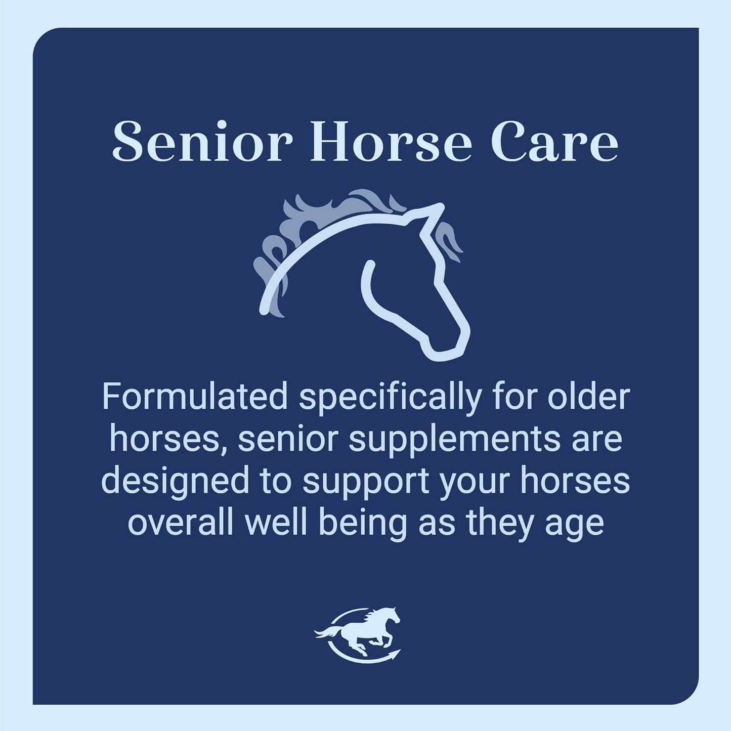 Senior Support SmartPak | Prebiotics and Probiotics | Turmeric Supplement | Flax Seed for Skin & Coat Health | Antioxidant Support for Senior Horses | 28 Days Supply