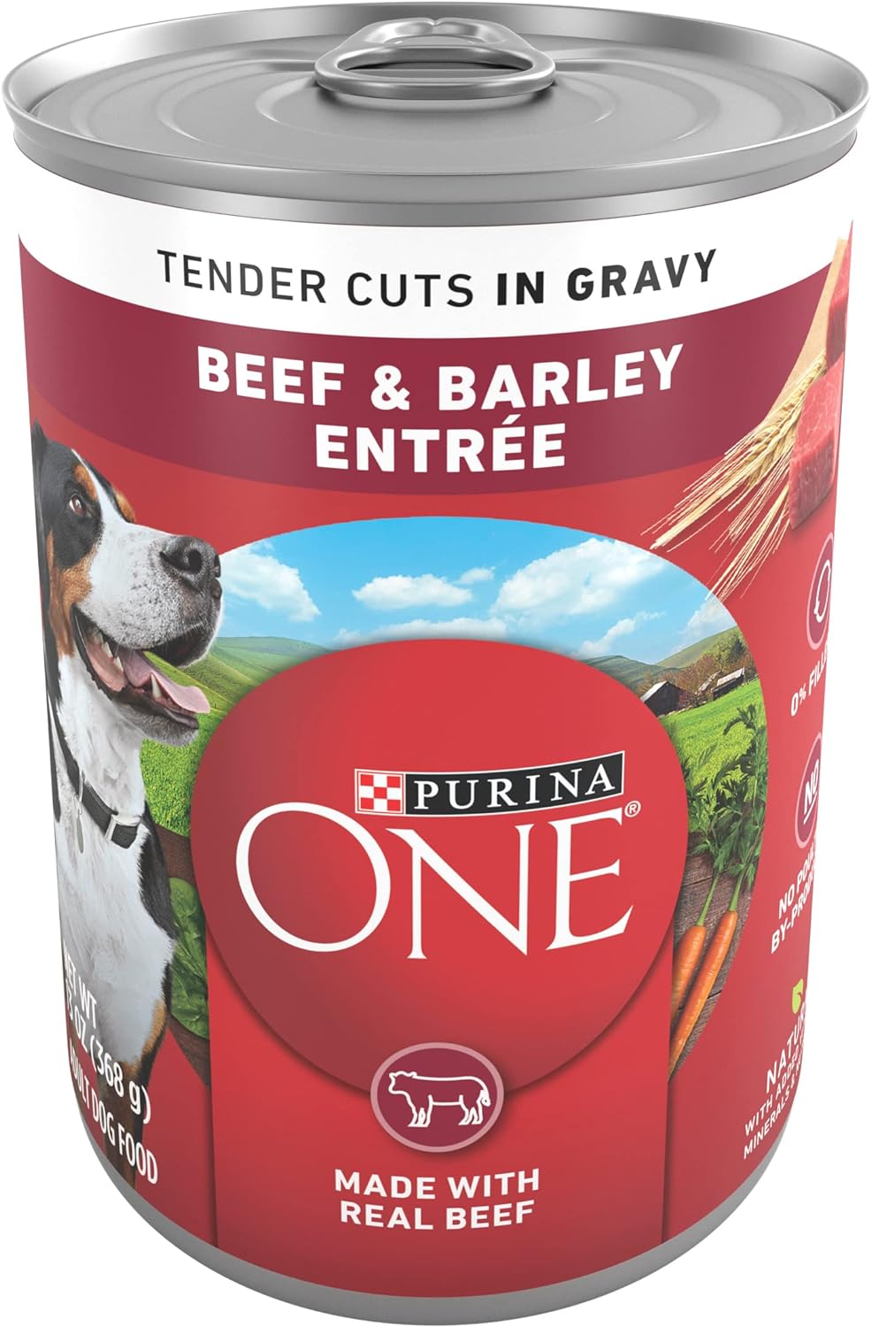 Purina ONE Natural Wet Dog Food Gravy, Tender Cuts in Gravy Beef and Barley Entrée - 13 Ounce (Pack of 12)