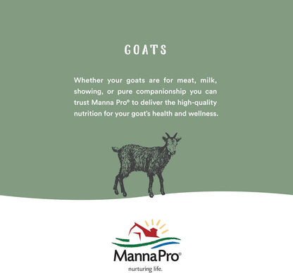 Manna Pro Corona Topical Analgesic Veterinary Liniment 16oz