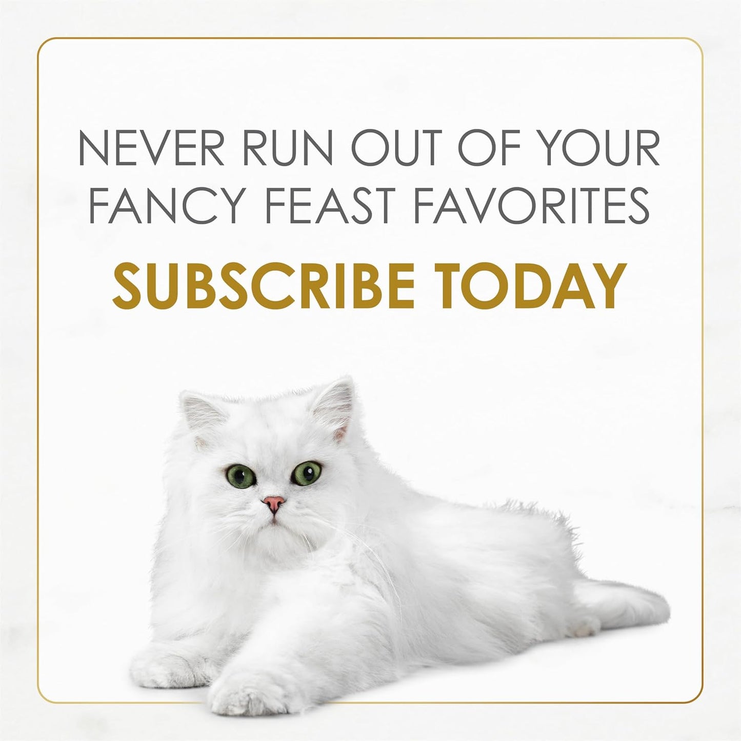 Purina Fancy Feast Dry Cat Food with Savory Farm-Raised Chicken and Turkey - 7 lb. Bag