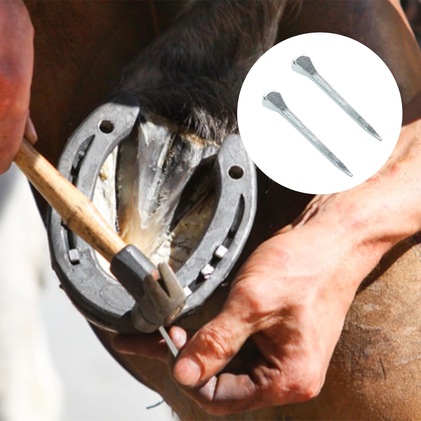 50 Pcs E3 Horseshoe Nails, Low-Carbon Steel Horseshoe Nails for Horse Training Equestrian Sports（45mm）
